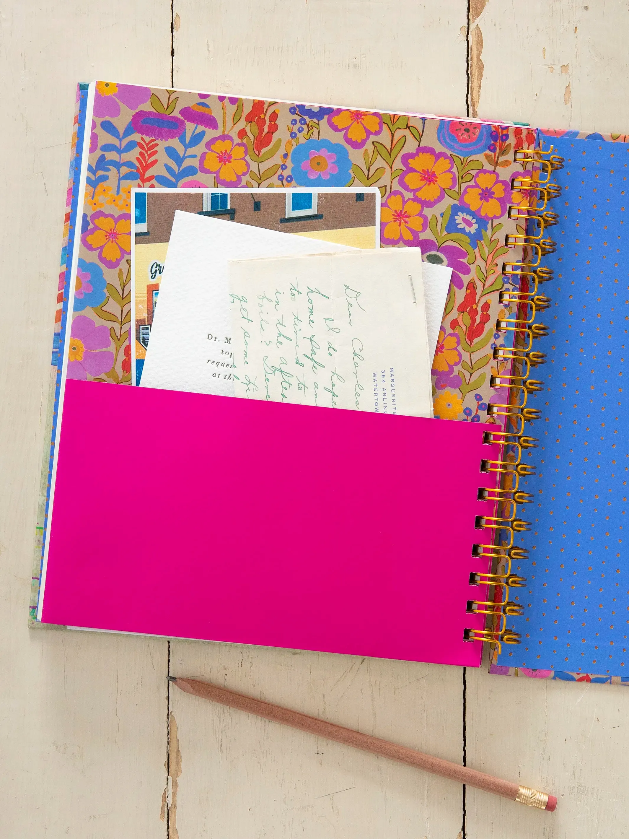 2024-25 17 Month Planner - Your Wings Exist