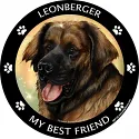Best Friends Magnets Working Dogs