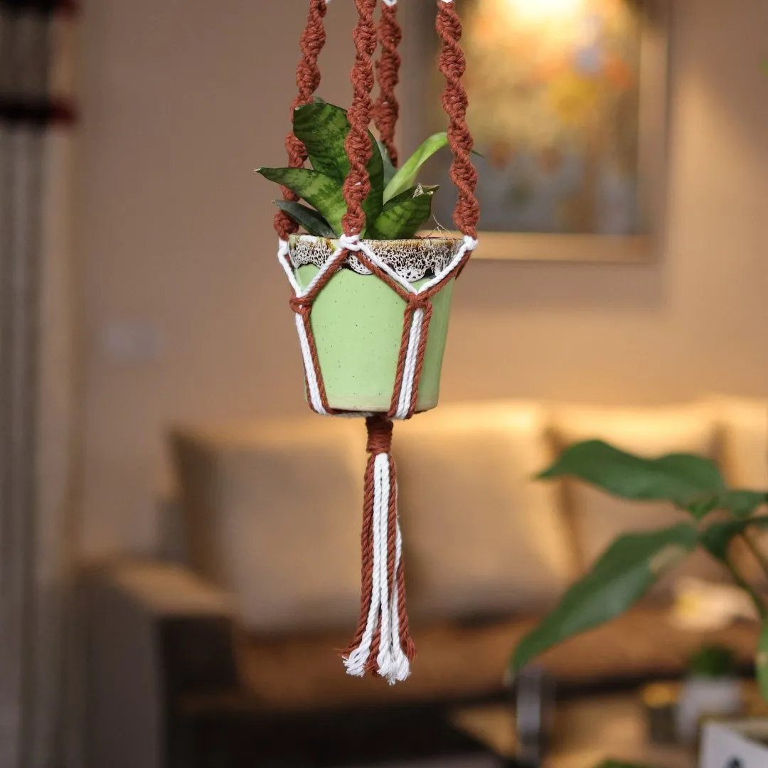 Brown Web Macrame Plant Holder