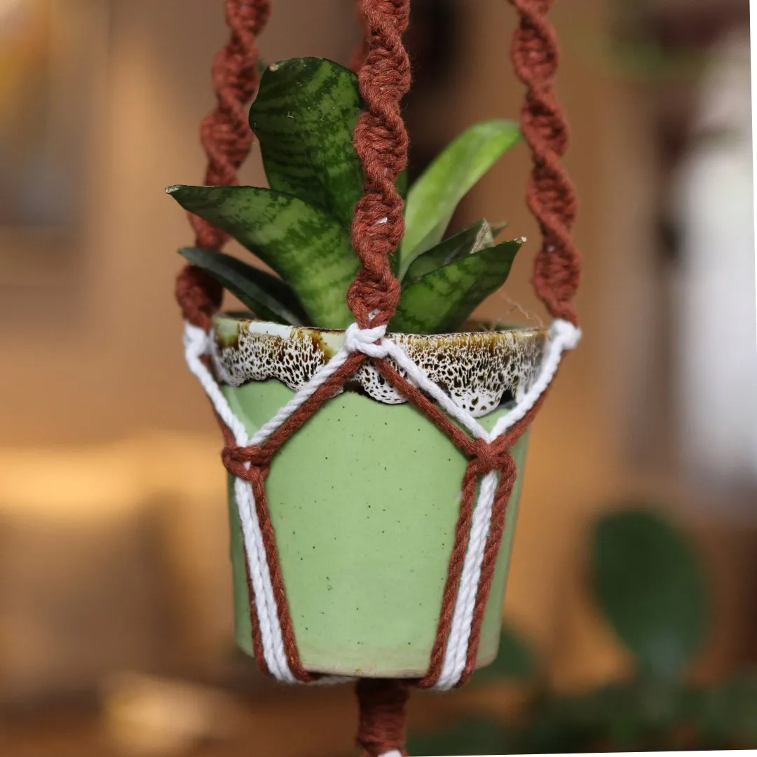 Brown Web Macrame Plant Holder