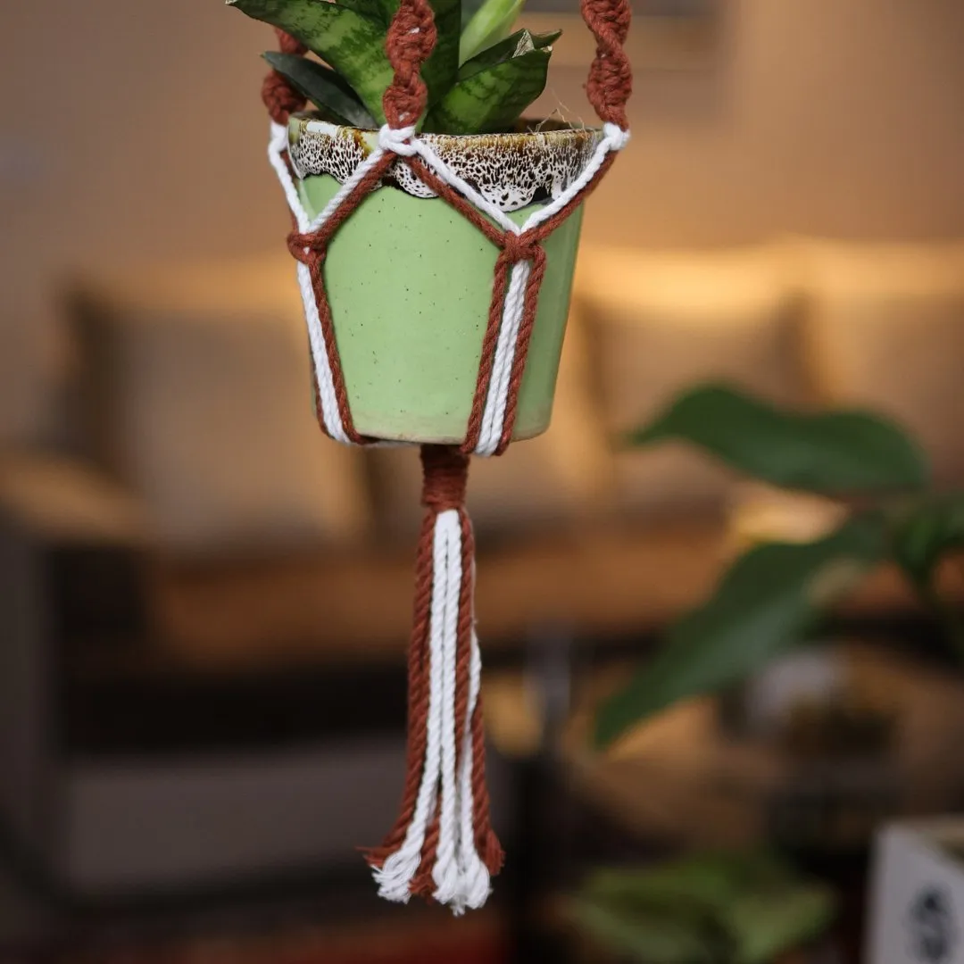 Brown Web Macrame Plant Holder