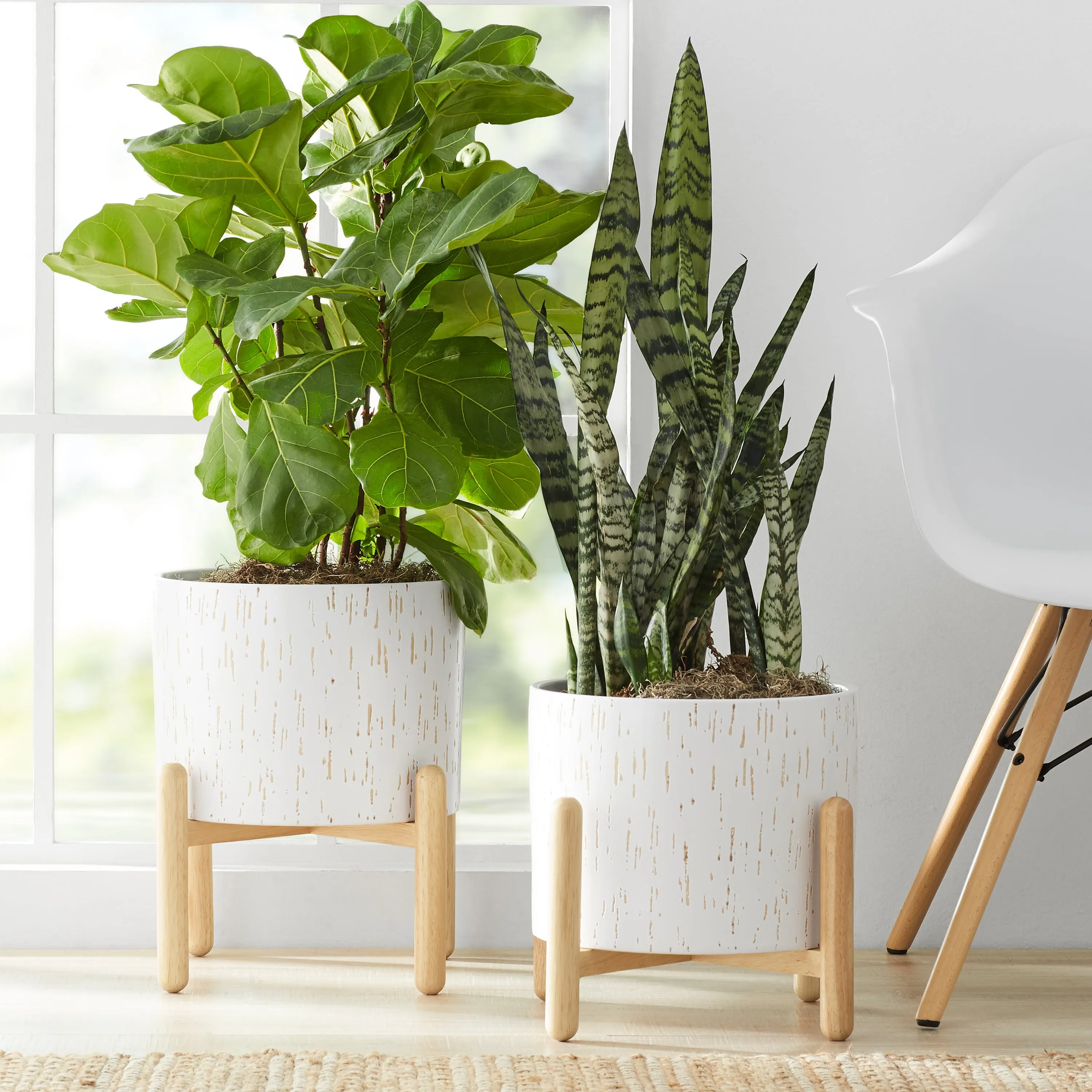 Ceramic and Wood Planter & Stand Set