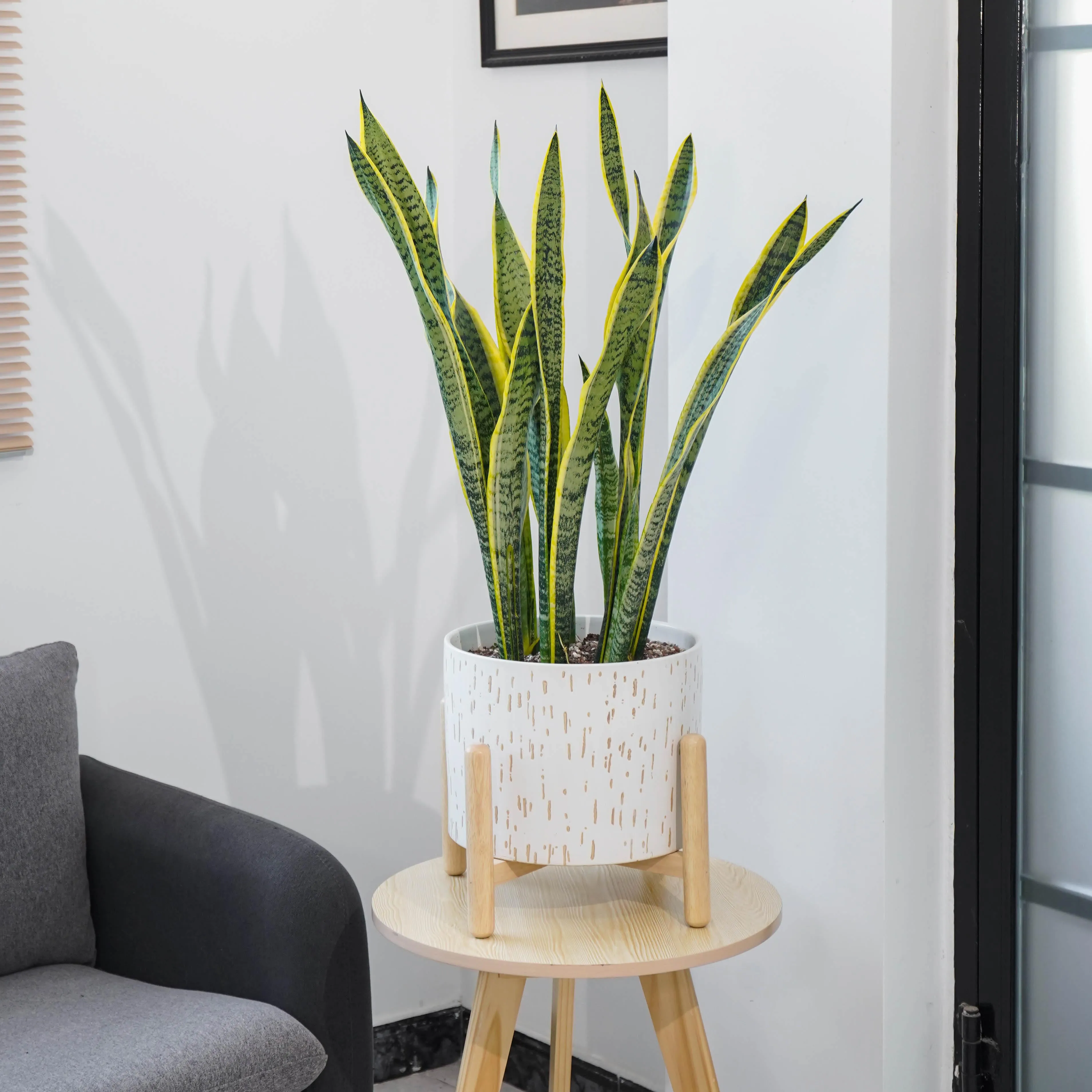 Ceramic and Wood Planter & Stand Set