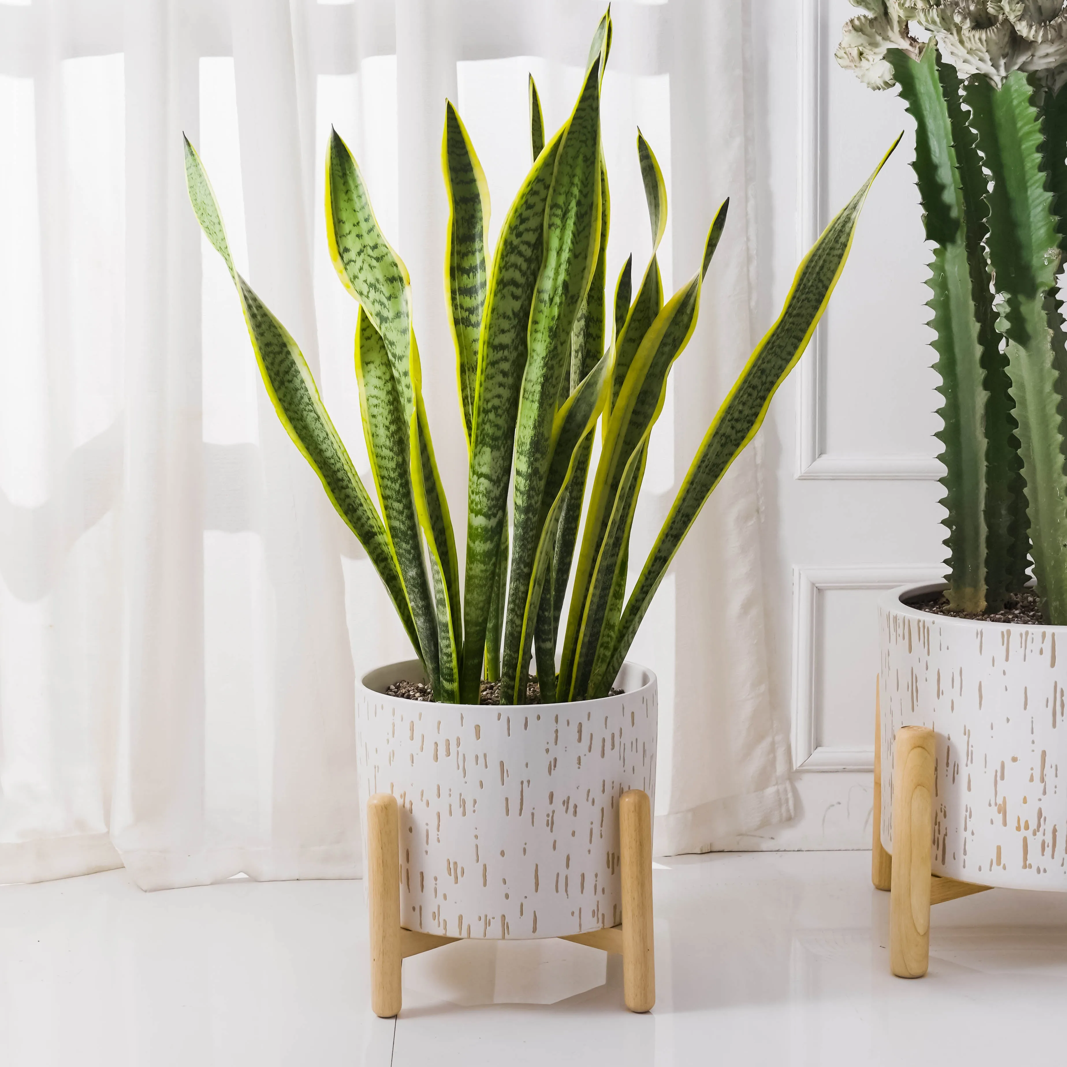 Ceramic and Wood Planter & Stand Set