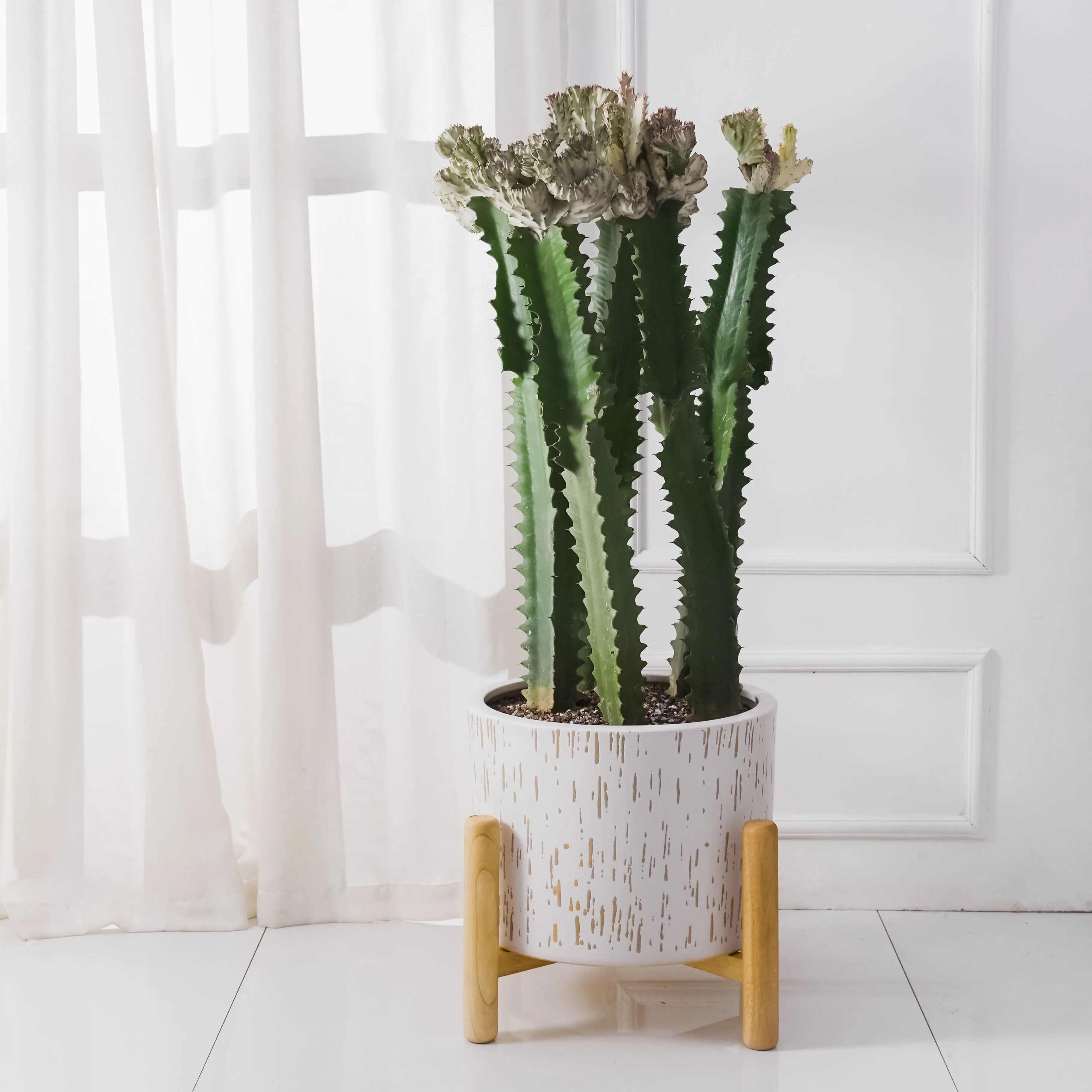 Ceramic and Wood Planter & Stand Set