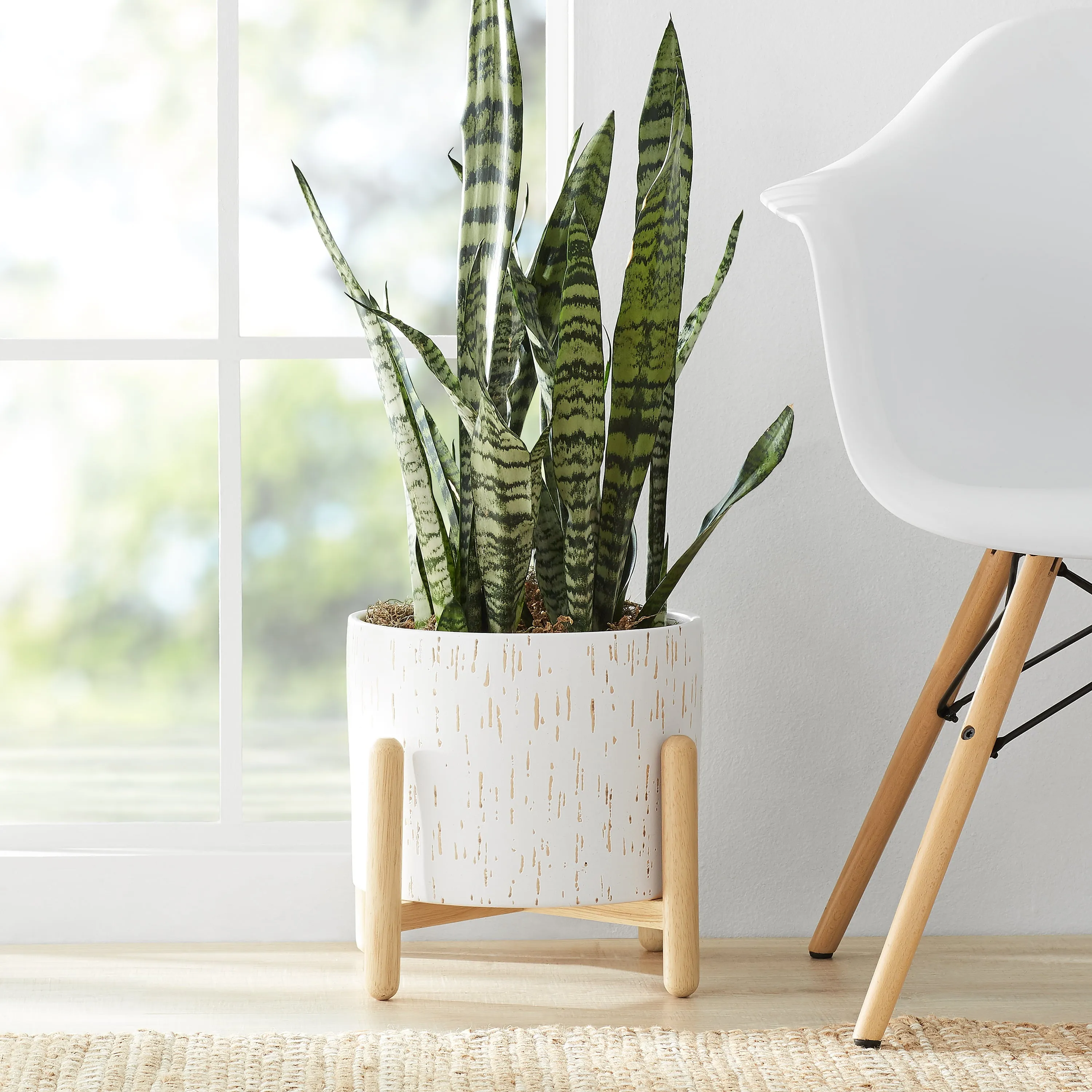 Ceramic and Wood Planter & Stand Set