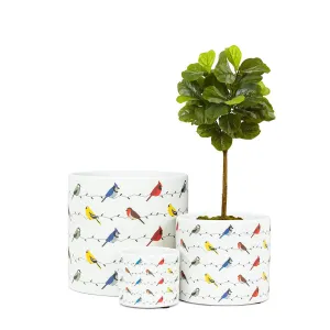 Ceramic Planter - Colourful Birds on Wire