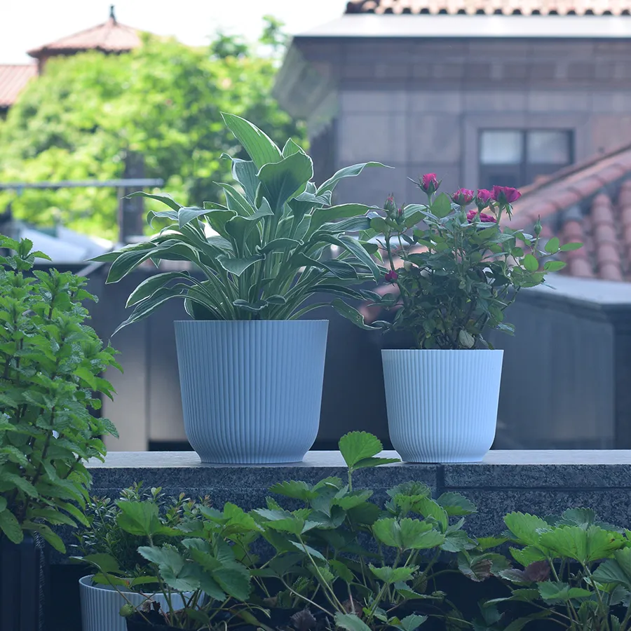 Darcy Plastic Pot