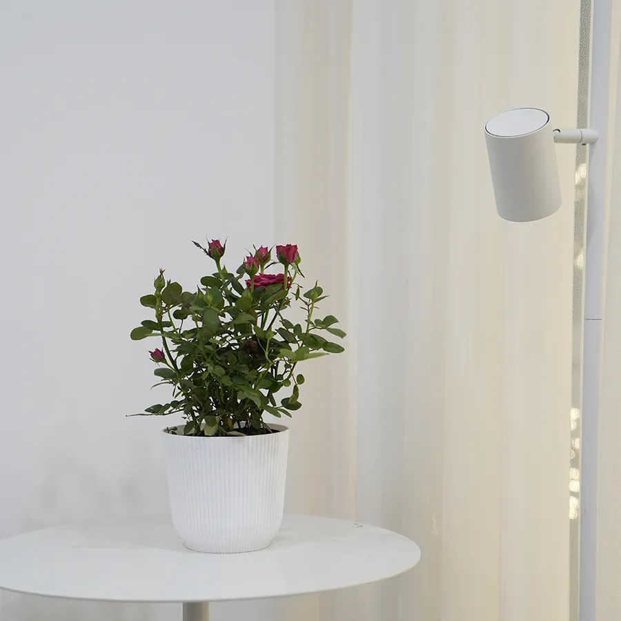 Darcy Plastic Pot
