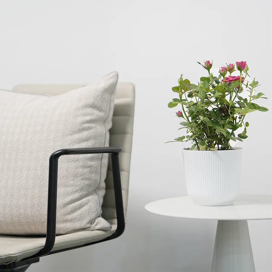 Darcy Plastic Pot