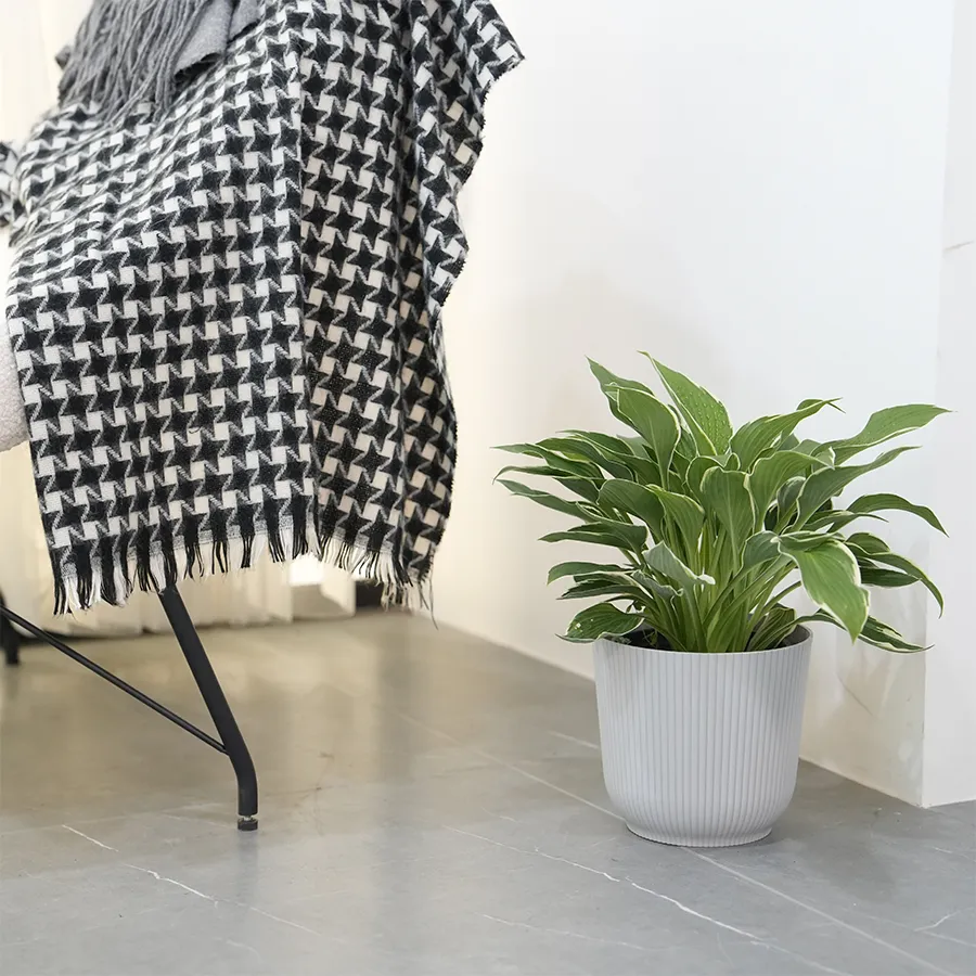 Darcy Plastic Pot