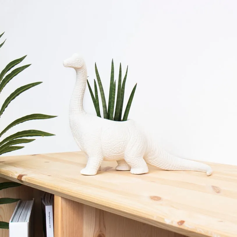 Dinosaur Planters