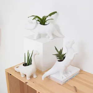 Dinosaur Planters