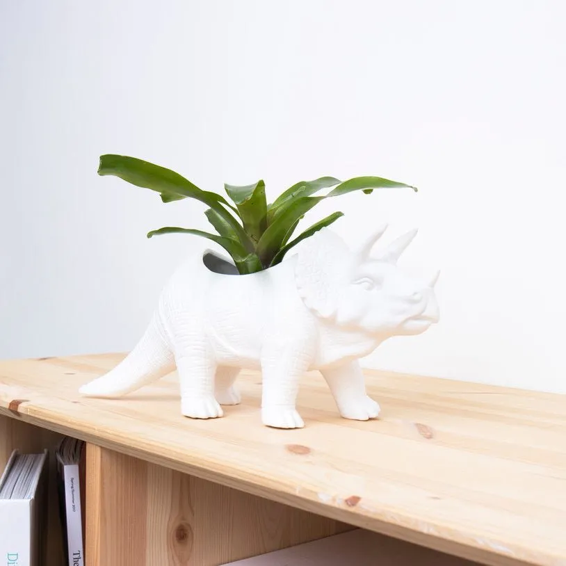 Dinosaur Planters