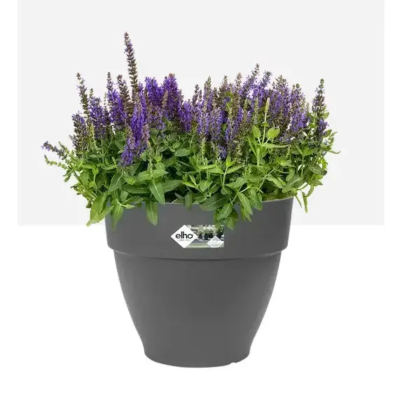 Elho Vibia Campana Round Plant Pot - Various Colours / Sizes Available