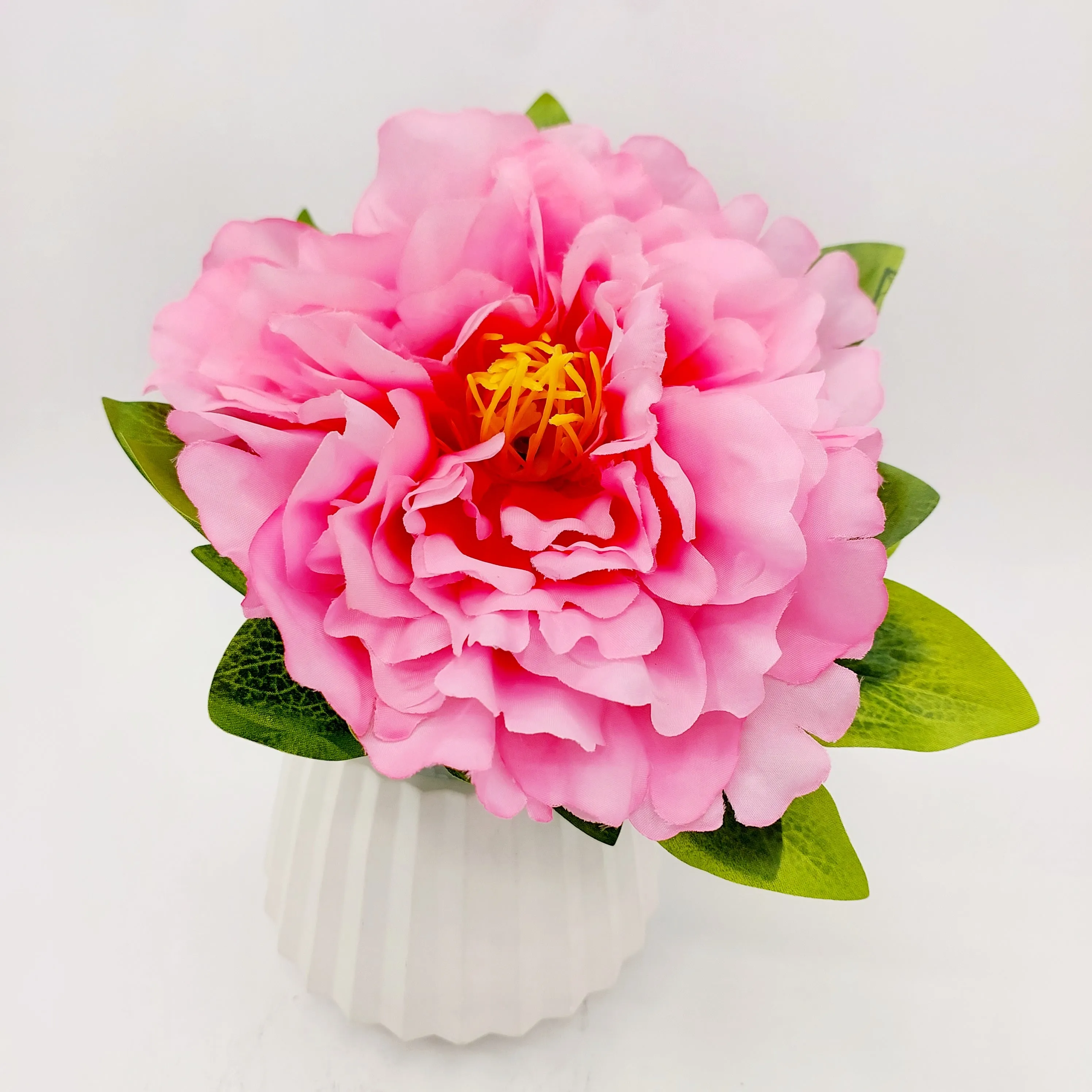 Flowers With Pots - Large Pink Mangolian - White Pot