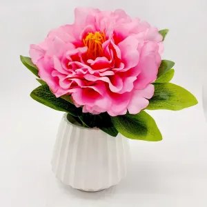 Flowers With Pots - Large Pink Mangolian - White Pot