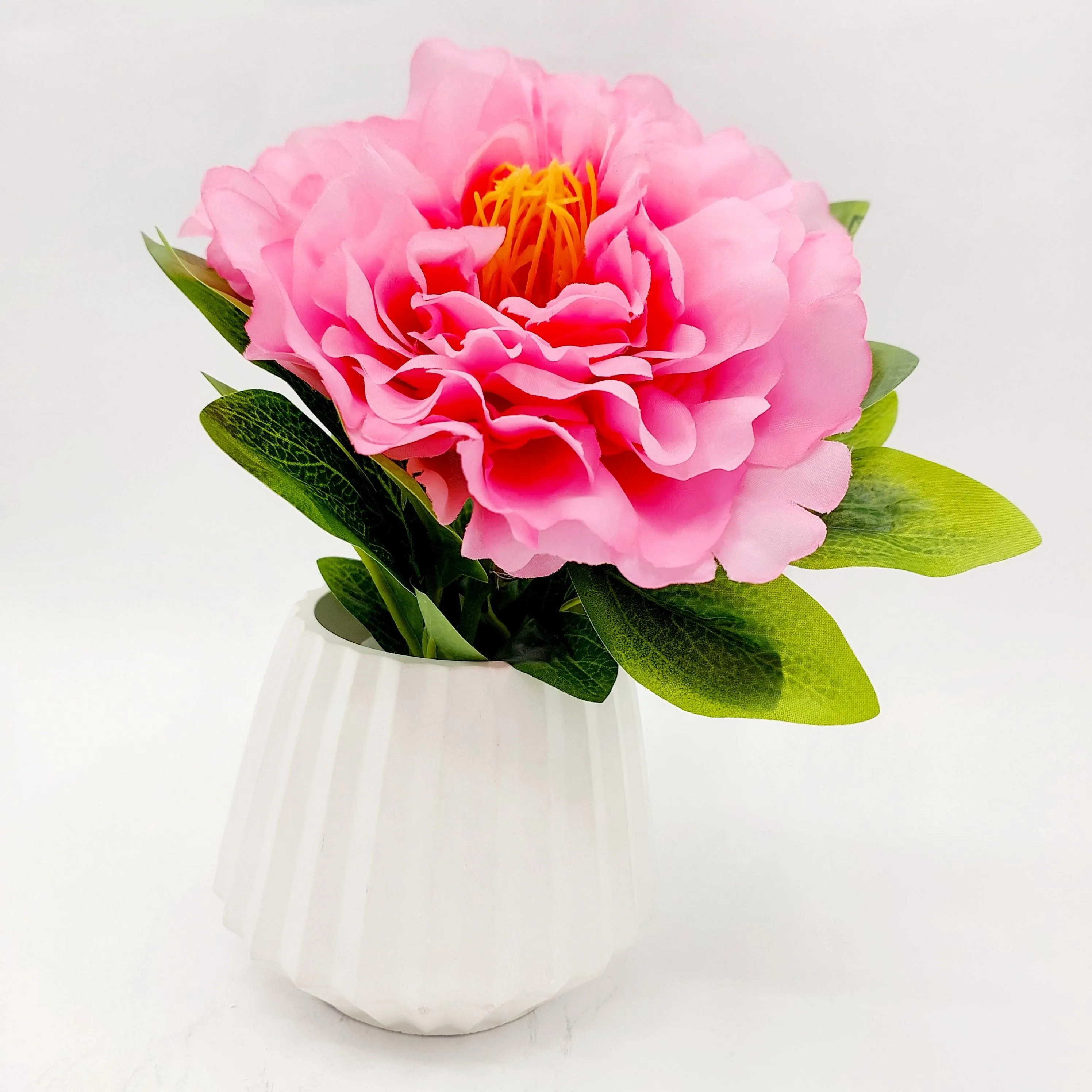 Flowers With Pots - Large Pink Mangolian - White Pot