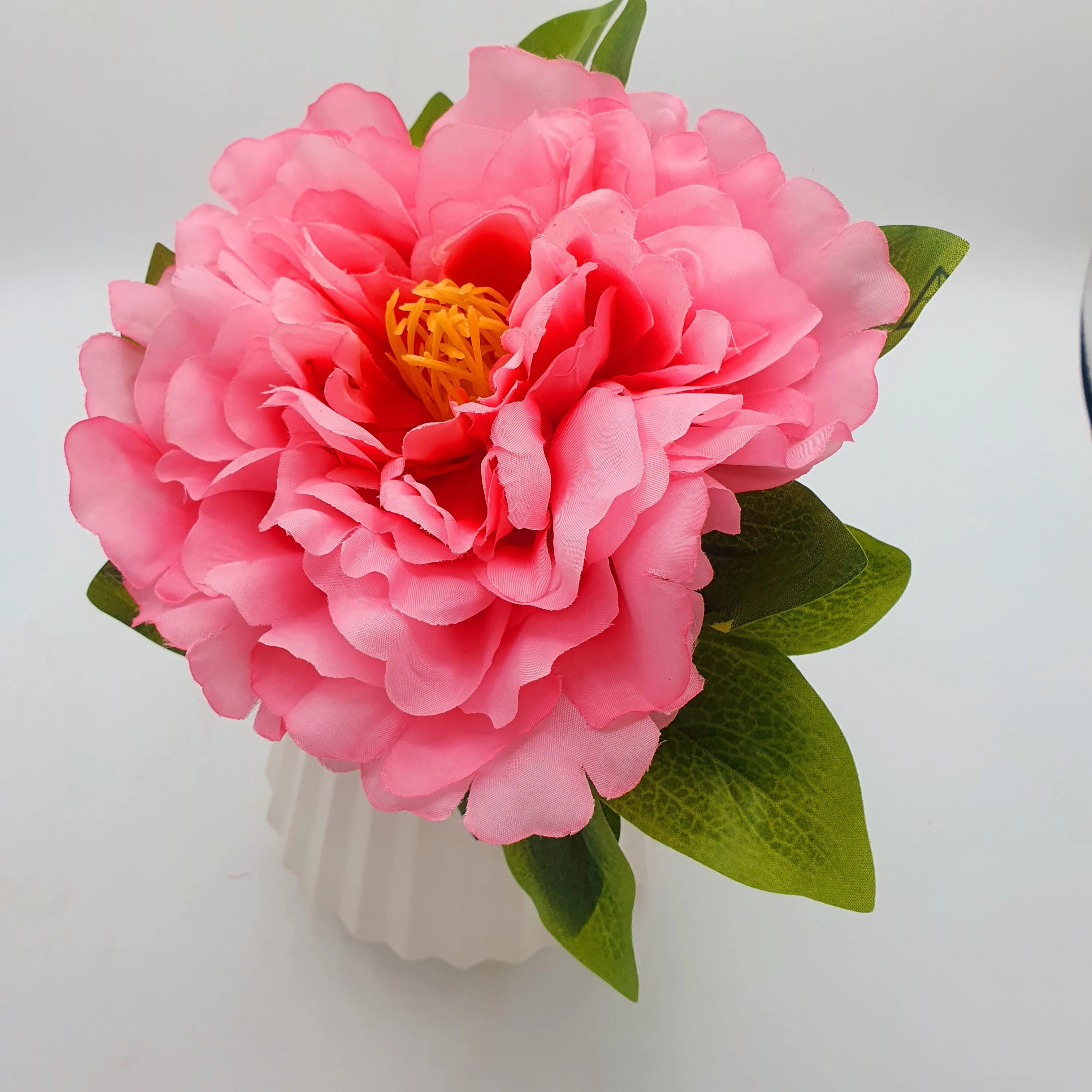 Flowers With Pots - Large Pink Mangolian - White Pot