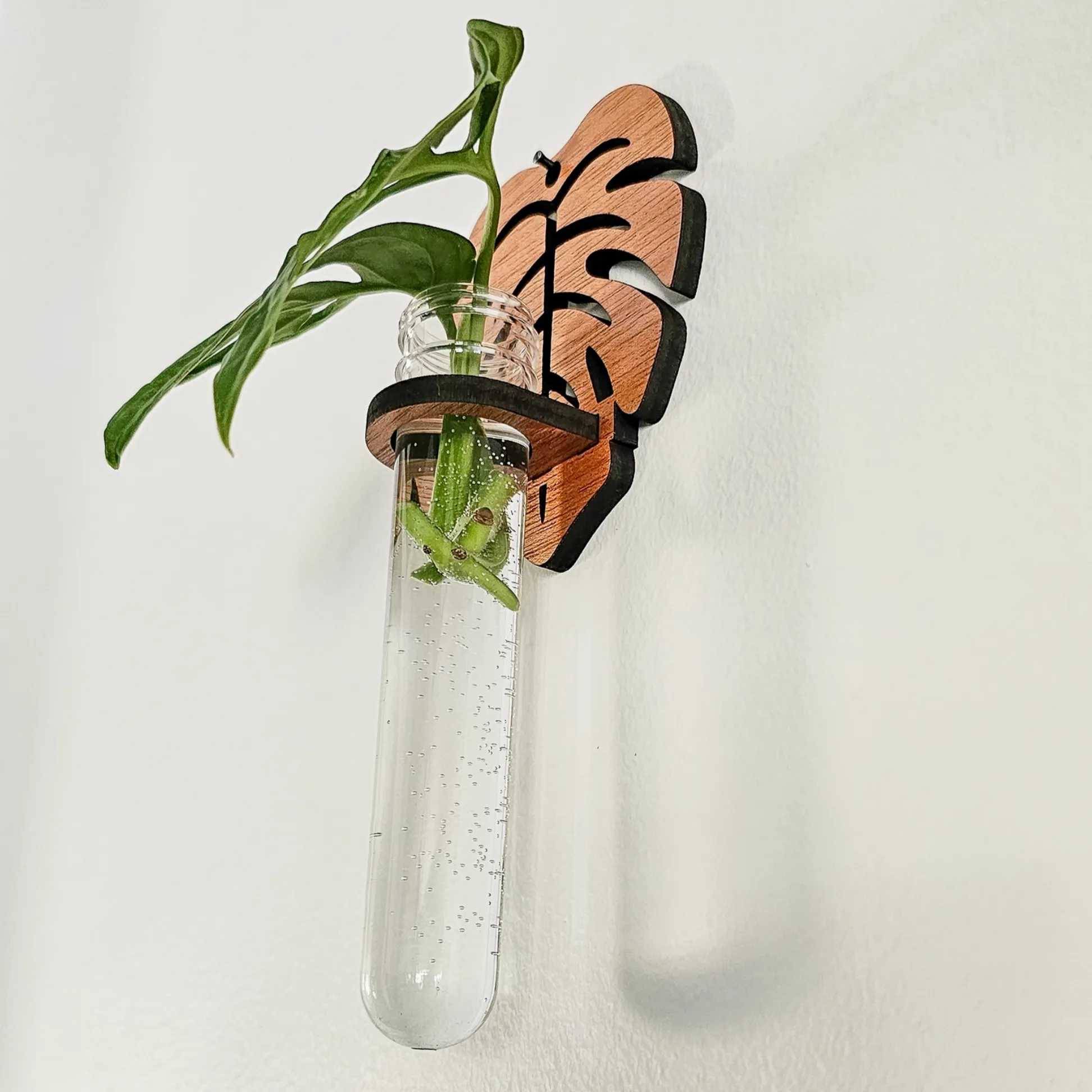 Hanging Propagation Station - Monstera Leaf