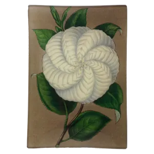 John Derian 'White Camellia' 4.5 x 6.5" Mini Rectangle Tray