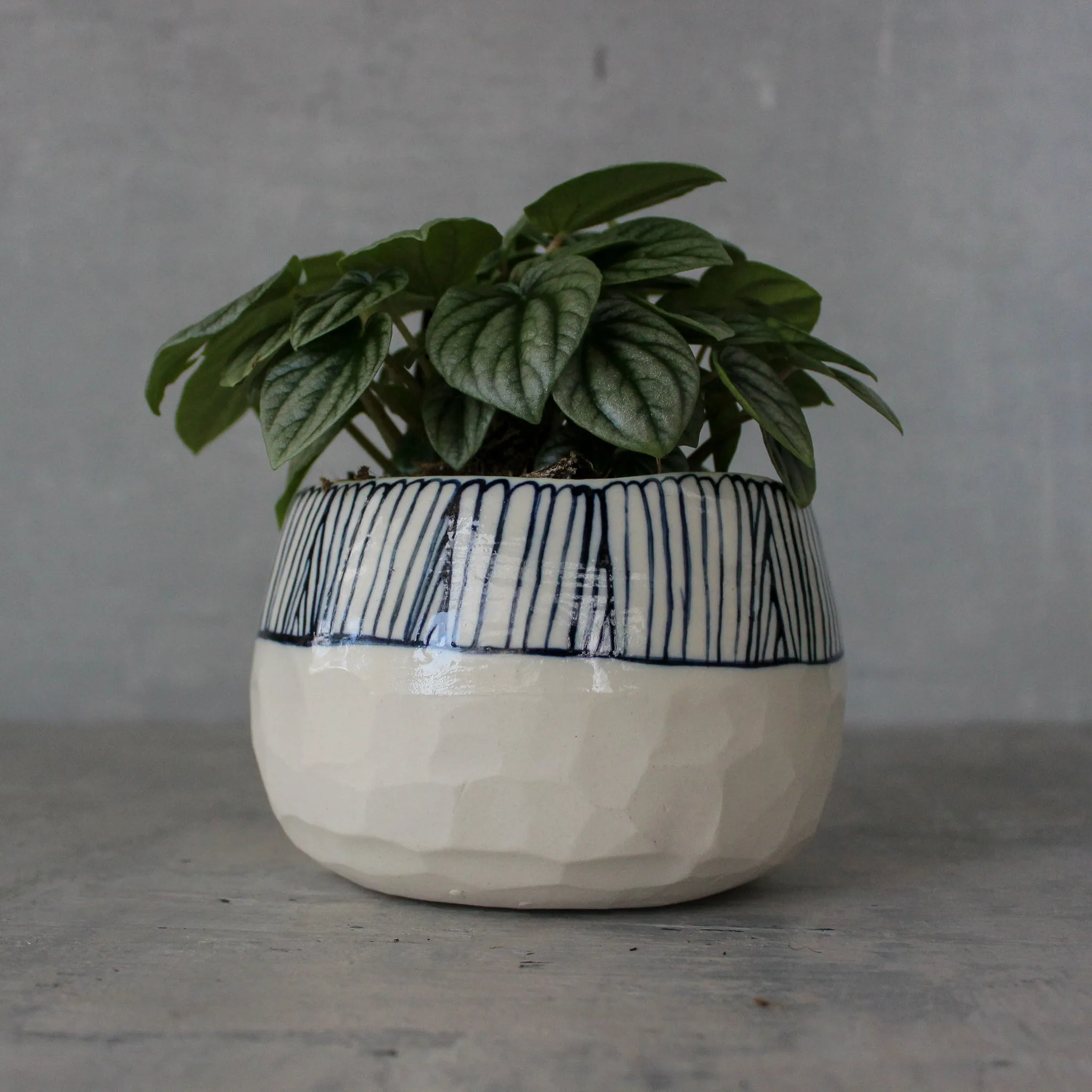Large Ceramic Planters Blue Detail