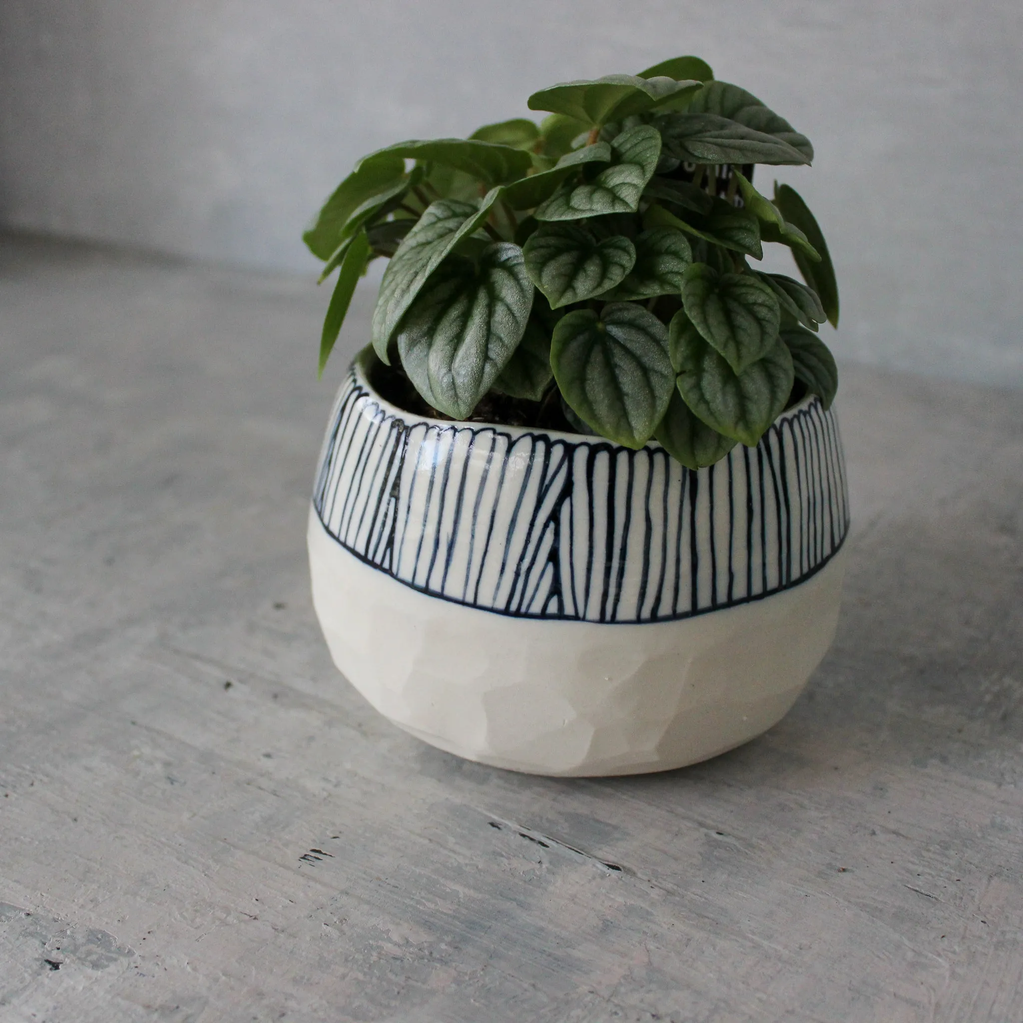 Large Ceramic Planters Blue Detail