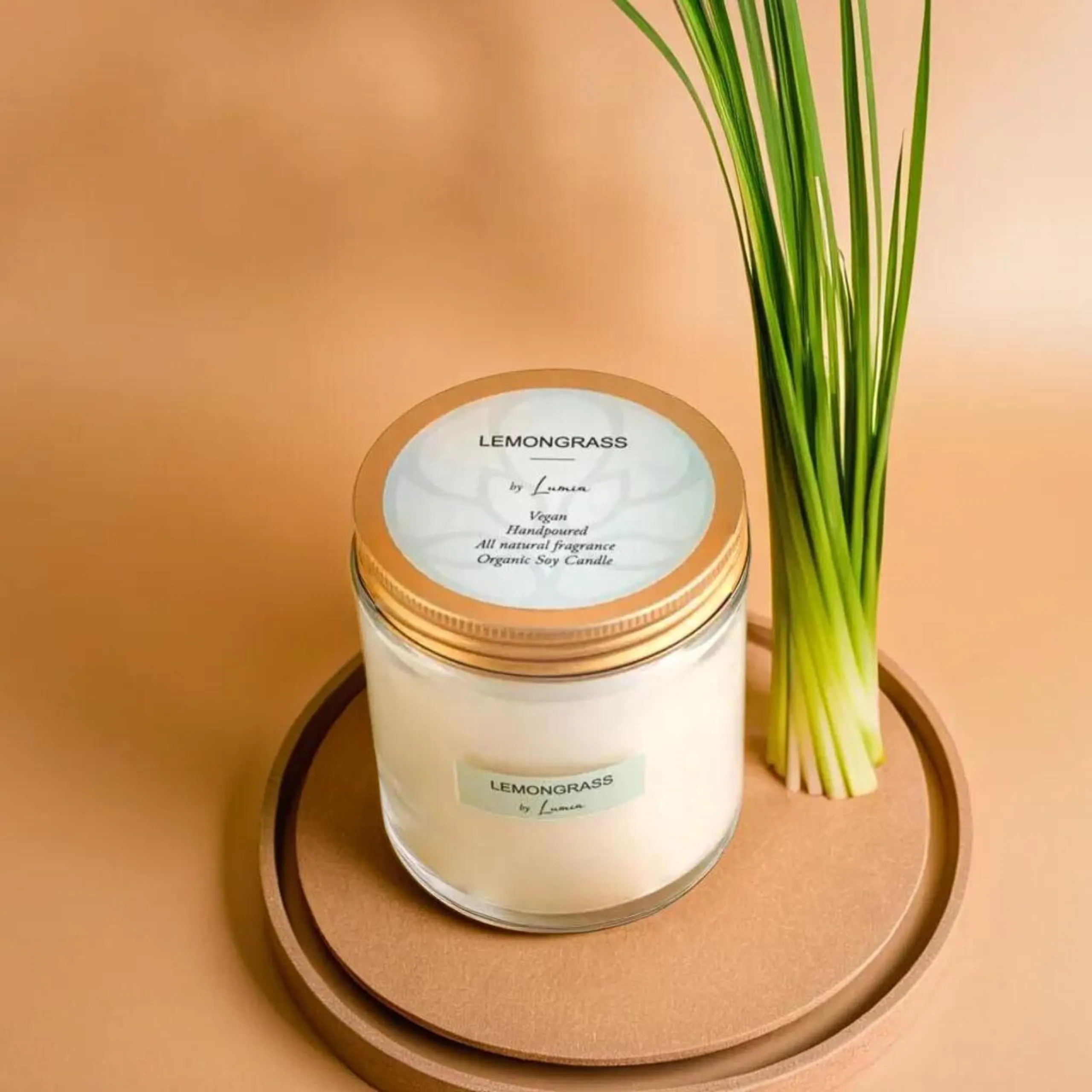 LUMIA Set of 5 Organic Scented Soy Wax Candles for Bedroom and Home | Aromatherapy | Perfect Home Gift | Eco-Friendly | Vegan | Non-Toxic | Phthalate-Free | Long-Lasting | Pack of 5 | 165 grams Each