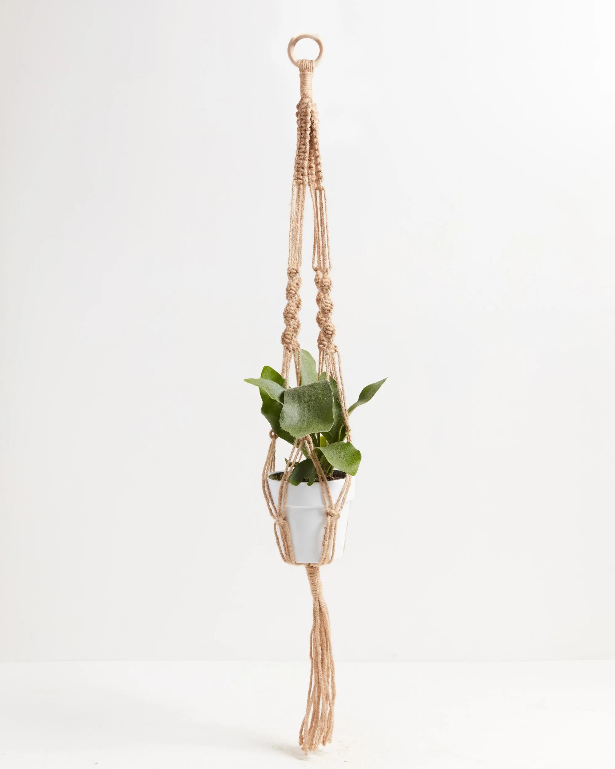 Macrame Plant Hanger