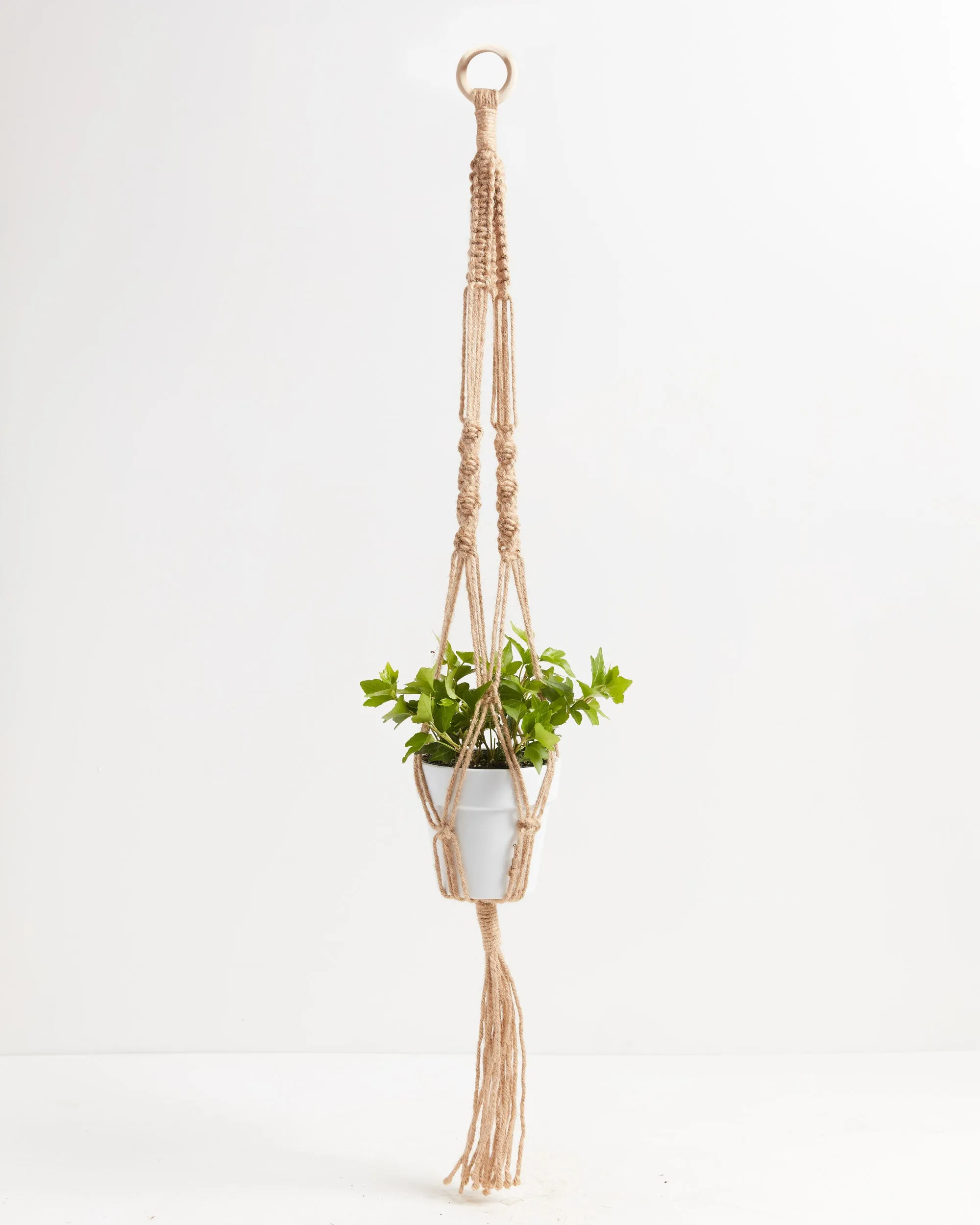 Macrame Plant Hanger