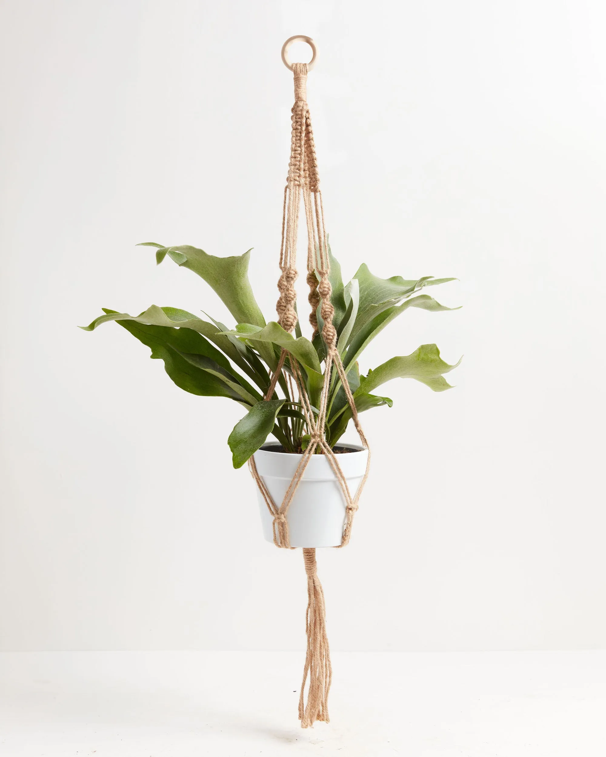 Macrame Plant Hanger