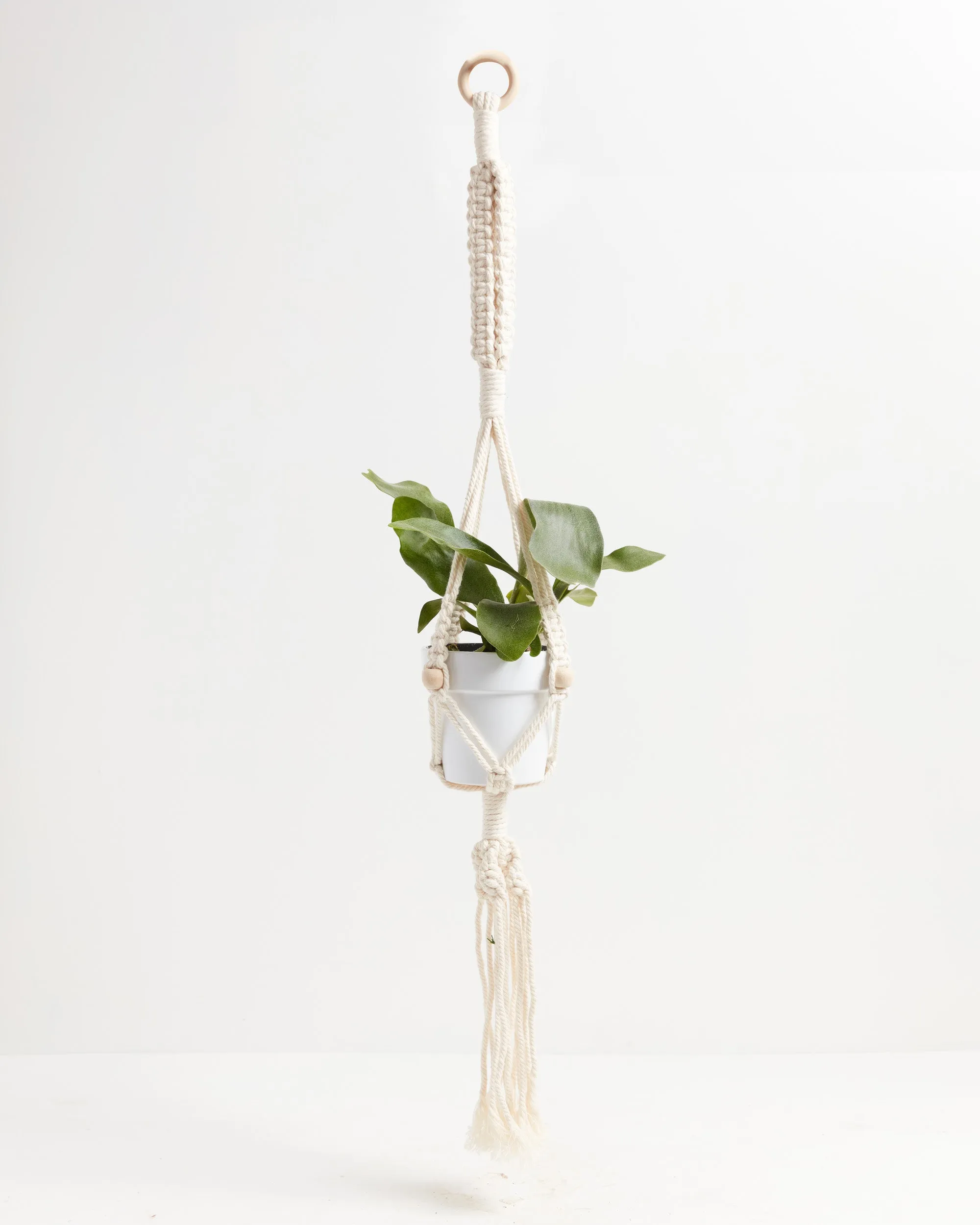 Macrame Plant Hanger