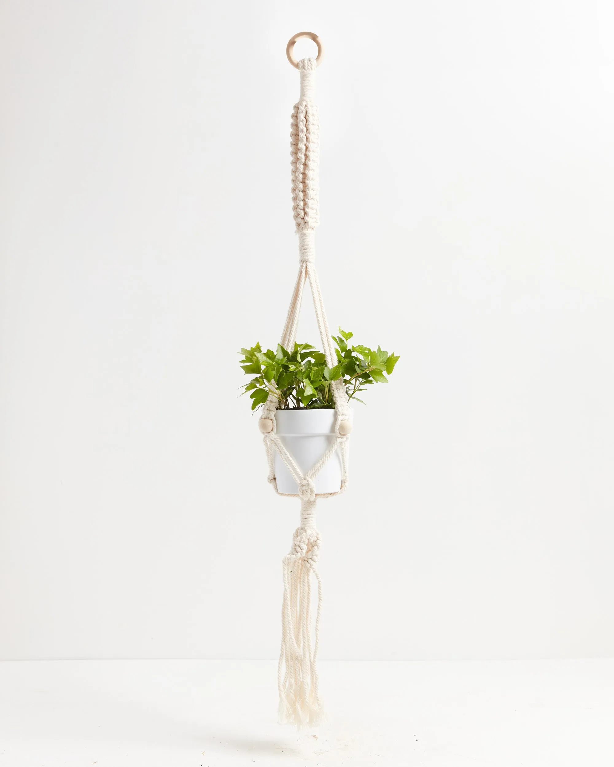 Macrame Plant Hanger
