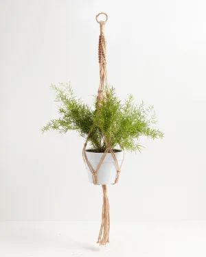 Macrame Plant Hanger