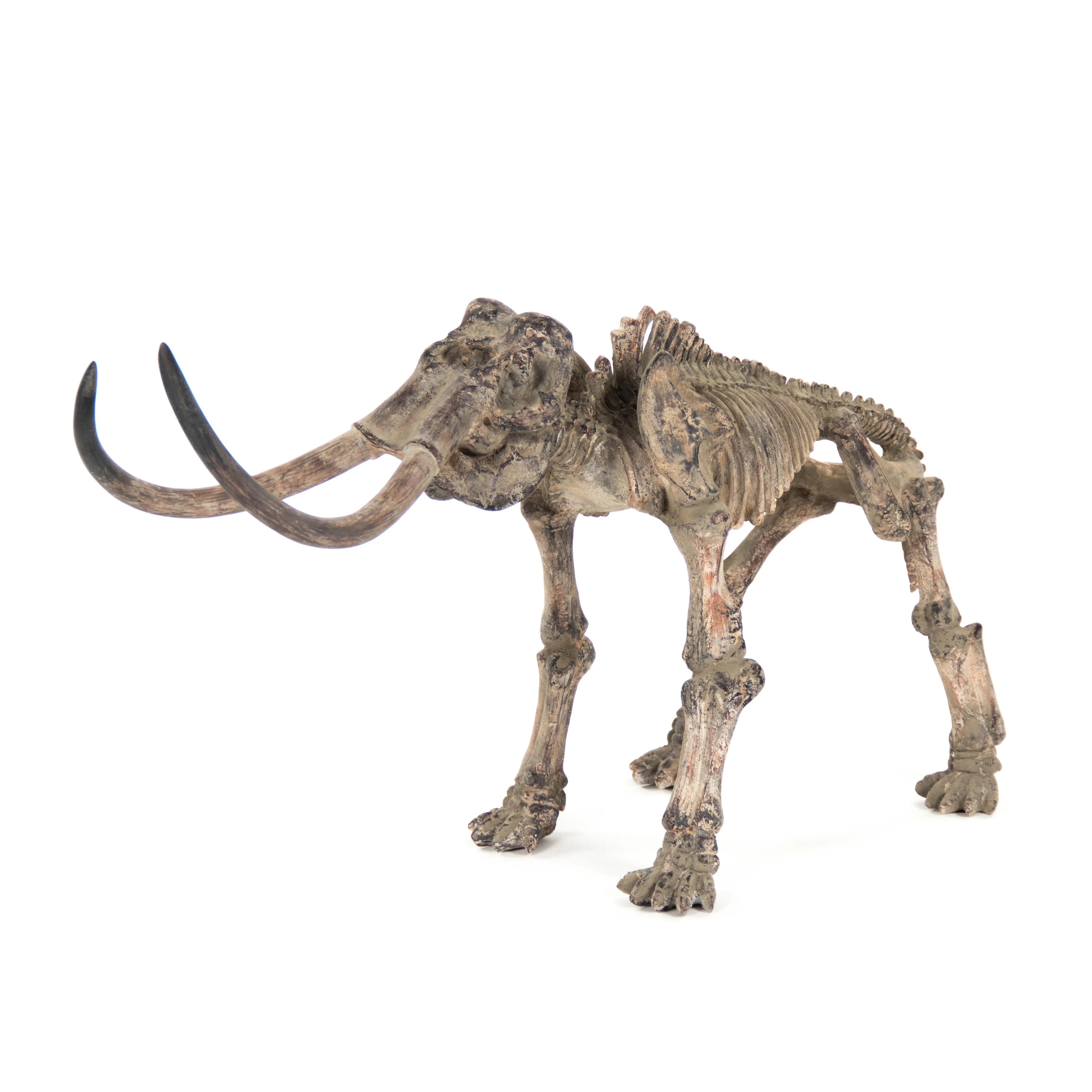 Mammoth Skeleton by Zentique