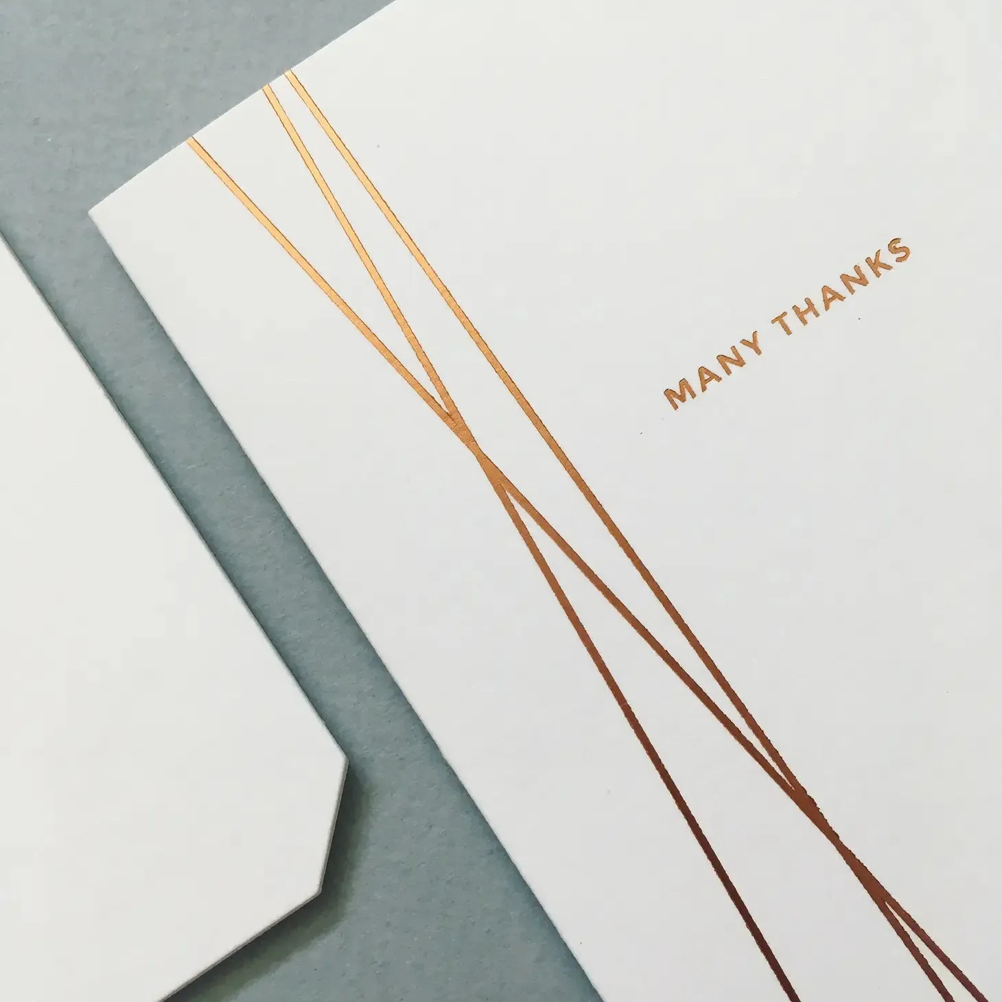 Many Thanks Card