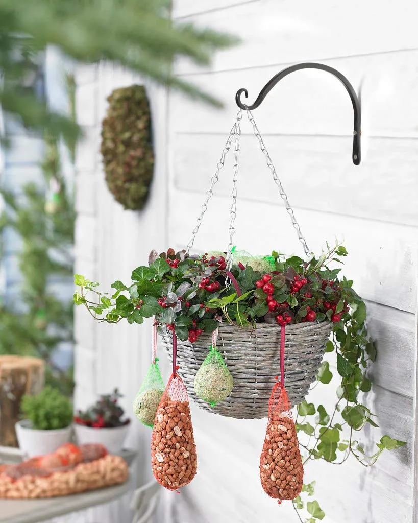 Metal Wall Plant Bracket