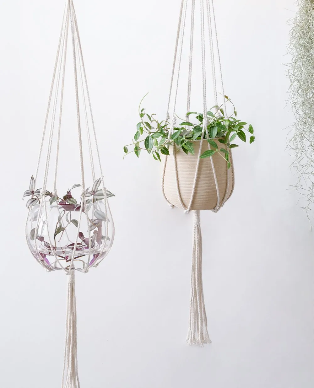Minimalist Macrame Plant Hanger (Set of 2)
