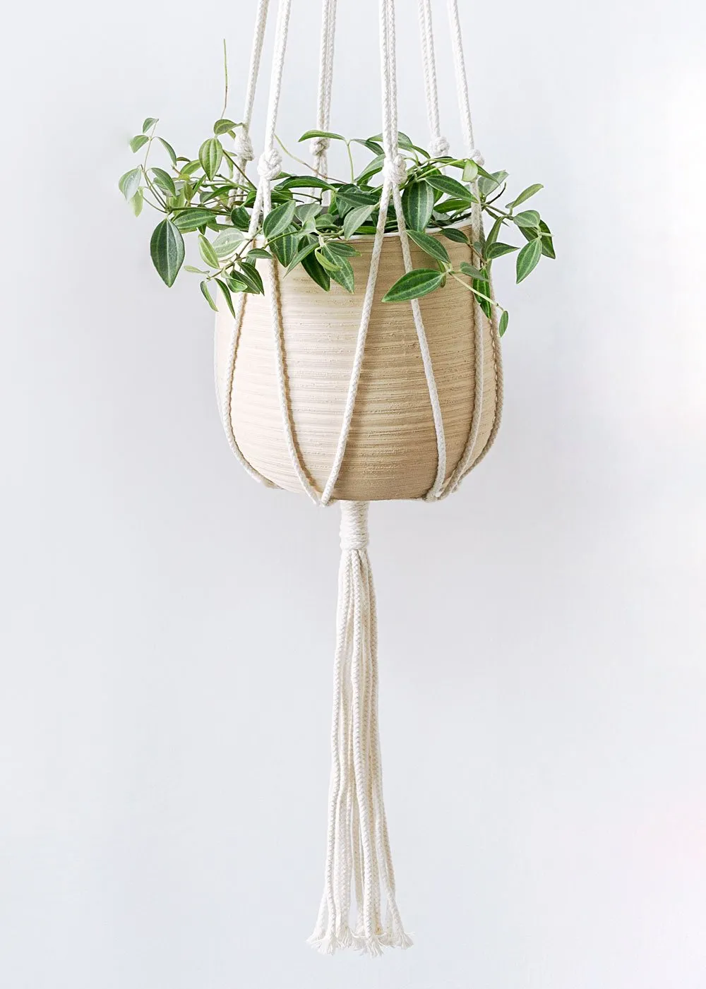 Minimalist Macrame Plant Hanger (Set of 2)