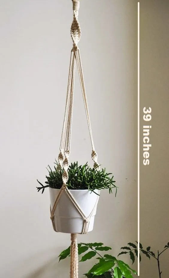 Minimalist Macrame Plant Hanger (Set of 3)