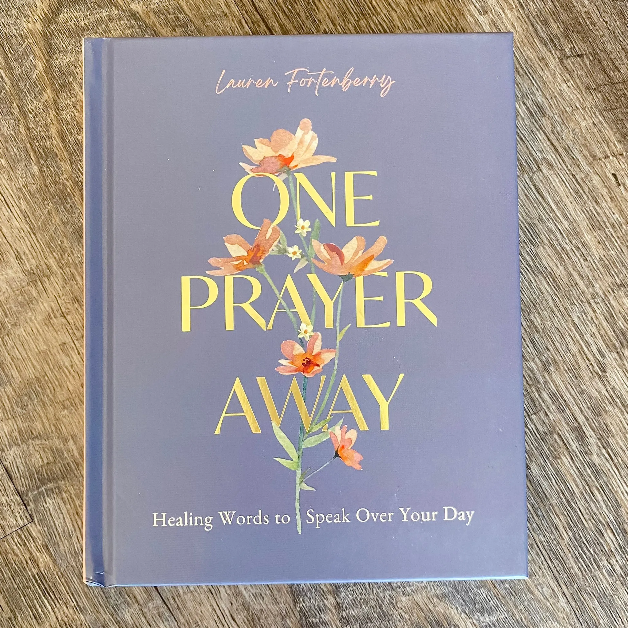 One Prayer Away: Healing Words to Speak Over Your Day (90 Devotions for Women)