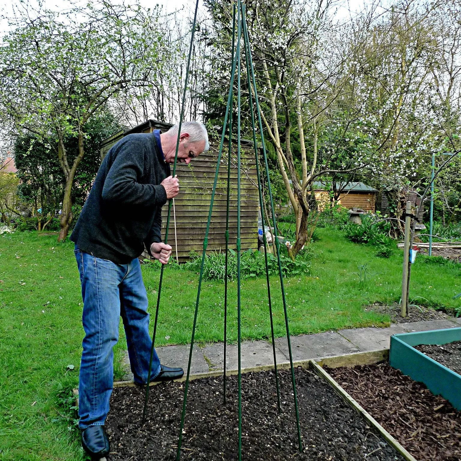 Pea and Runner Bean Wigwam Teepee - Garden Support Frame Kit