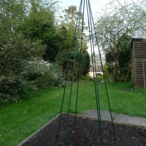 Pea and Runner Bean Wigwam Teepee - Garden Support Frame Kit