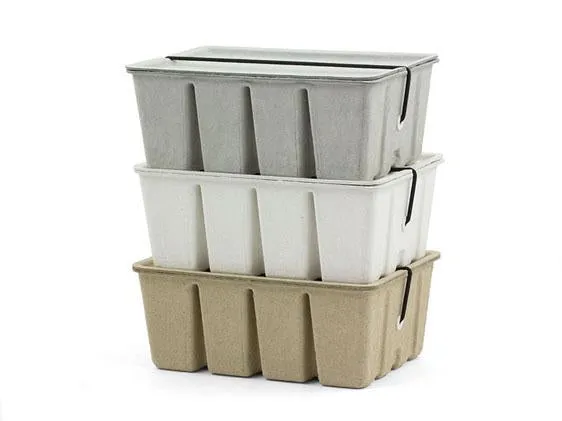 Pulp Card Box White