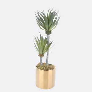Rangy Planter in Golden Ceramic Pot