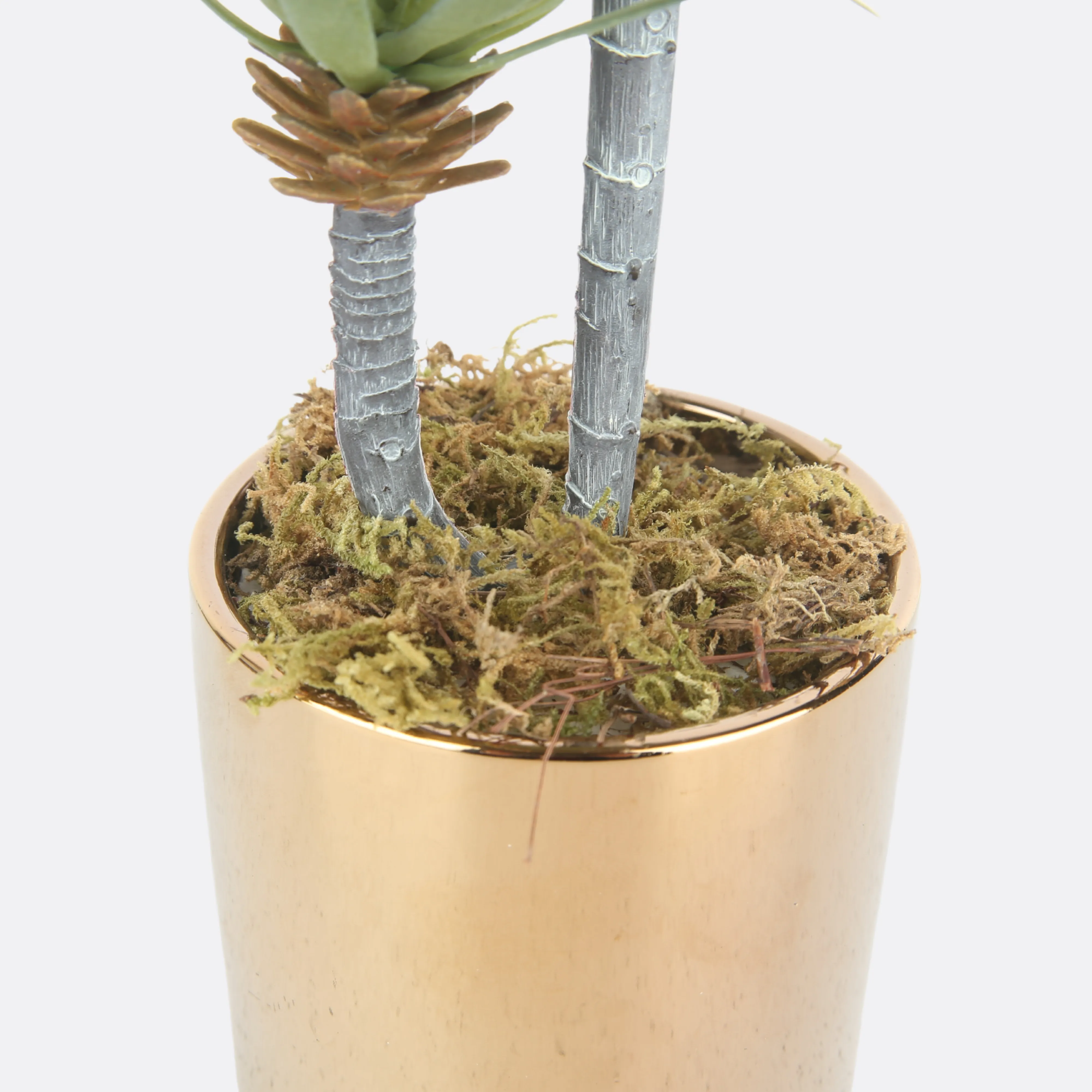 Rangy Planter in Golden Ceramic Pot