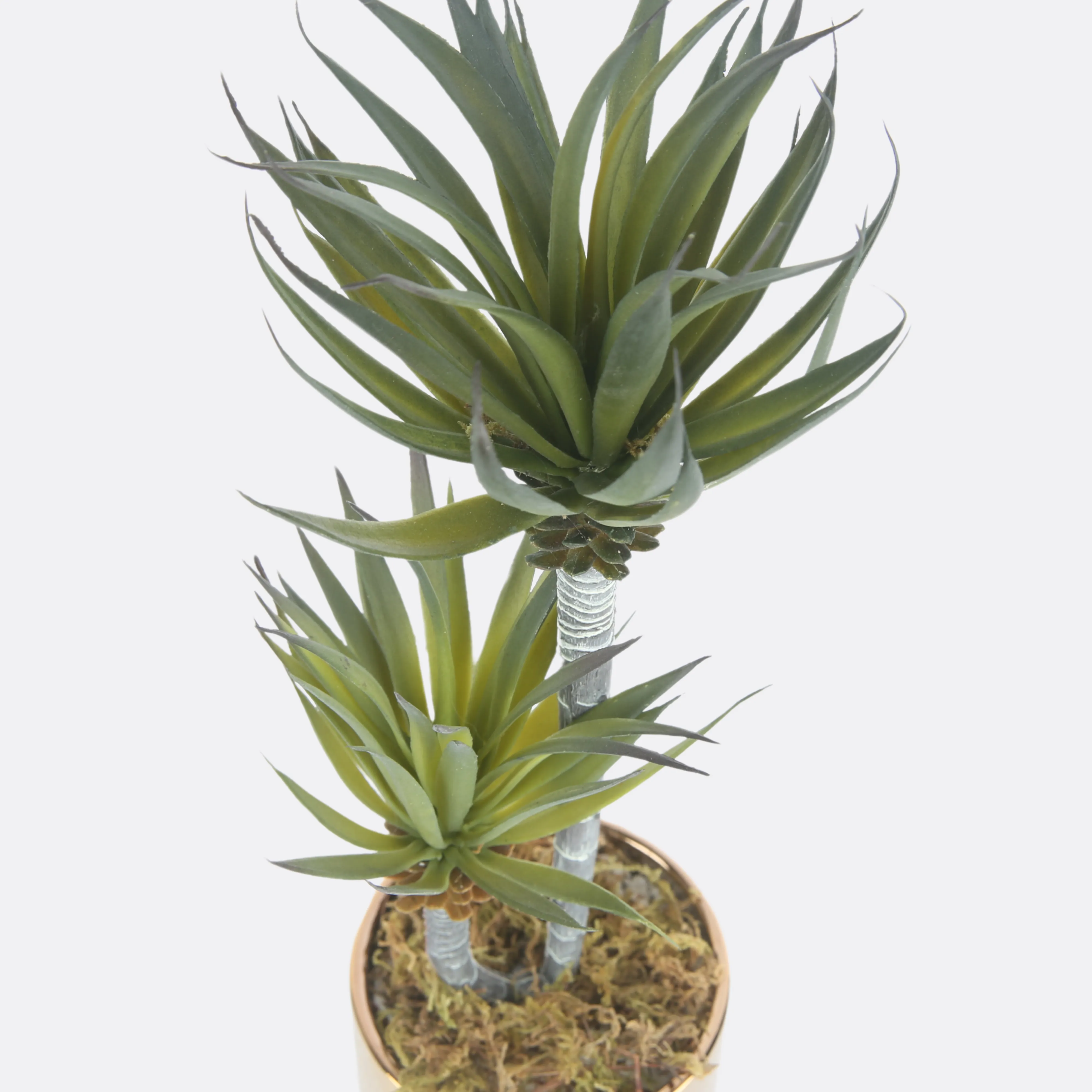 Rangy Planter in Golden Ceramic Pot