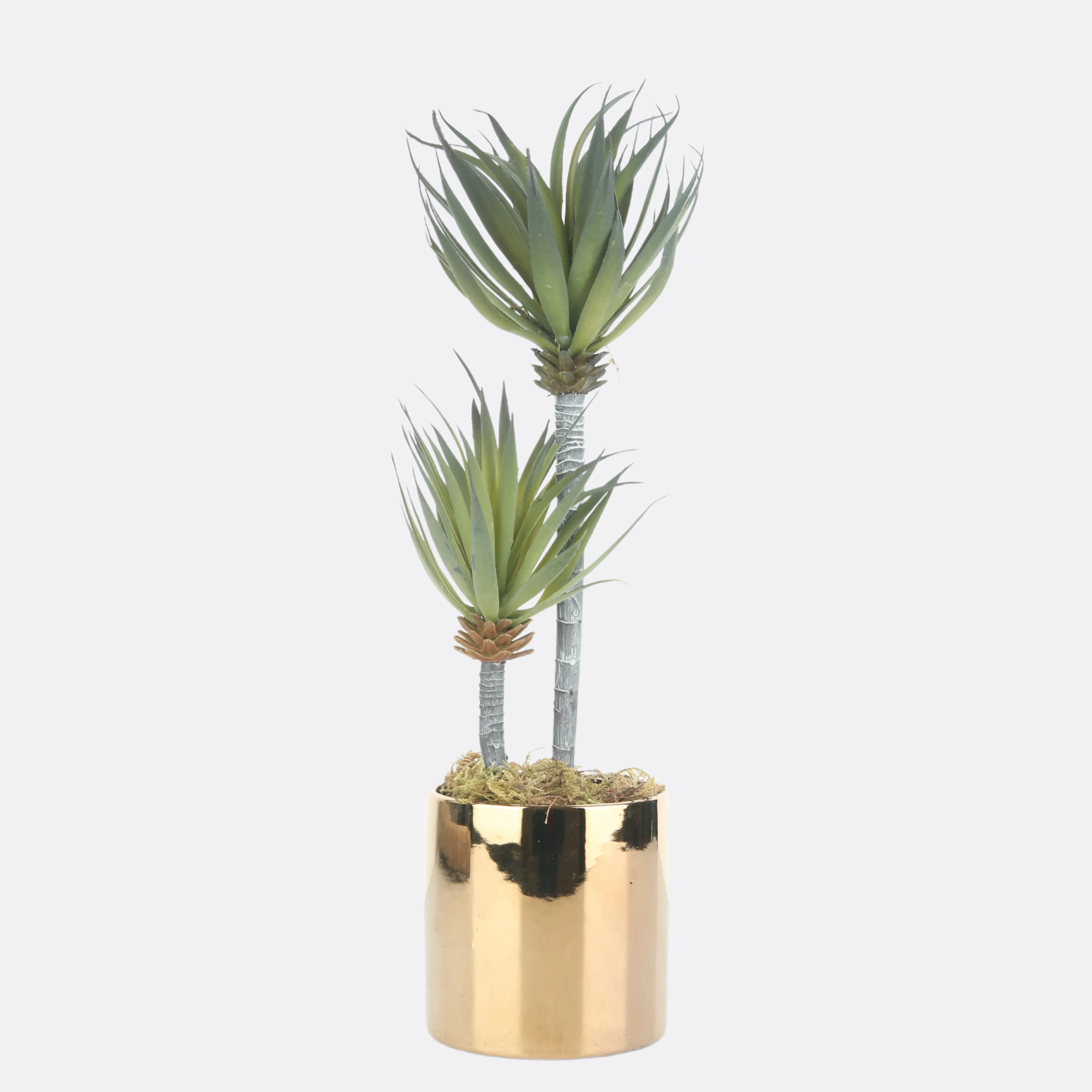 Rangy Planter in Golden Ceramic Pot