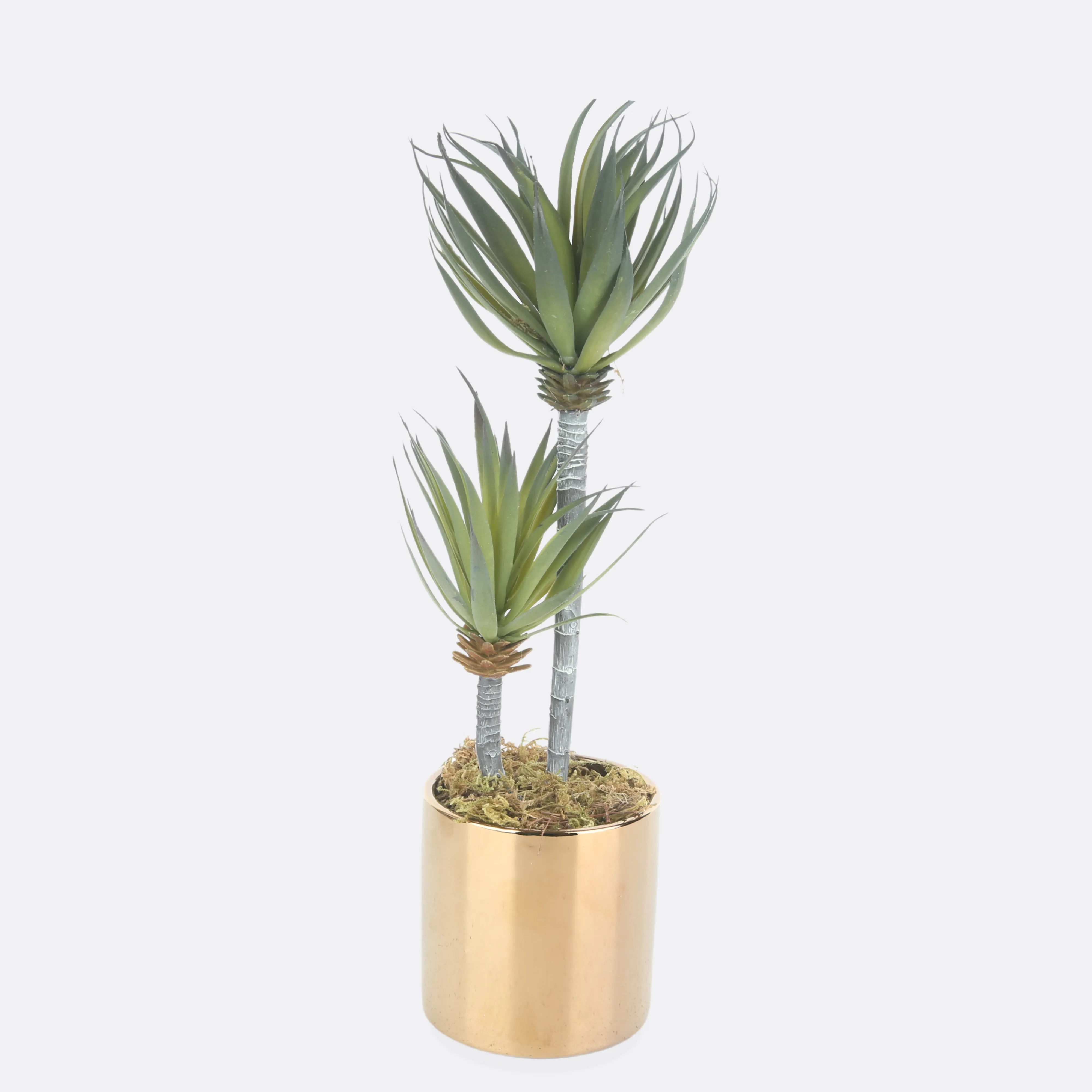 Rangy Planter in Golden Ceramic Pot