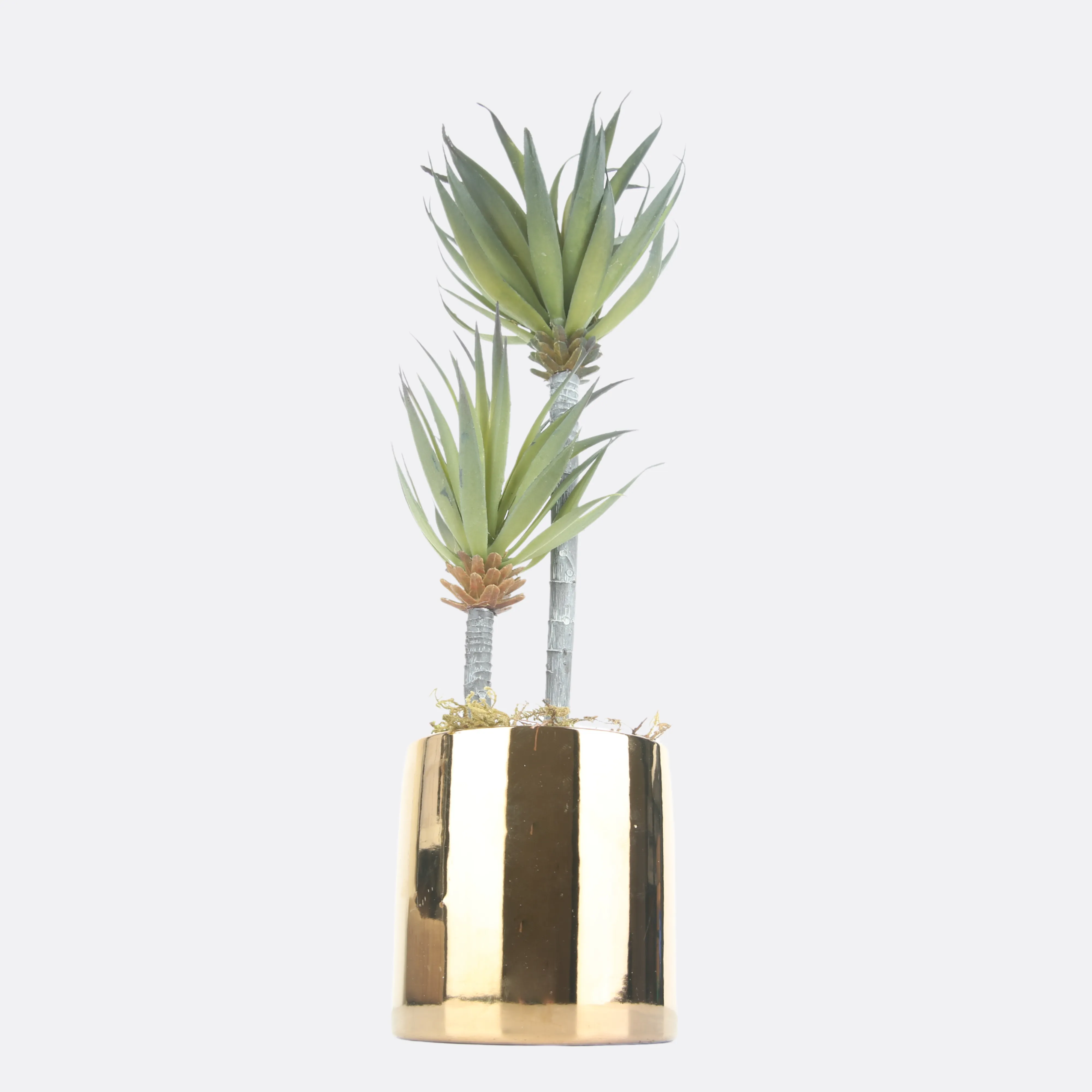 Rangy Planter in Golden Ceramic Pot